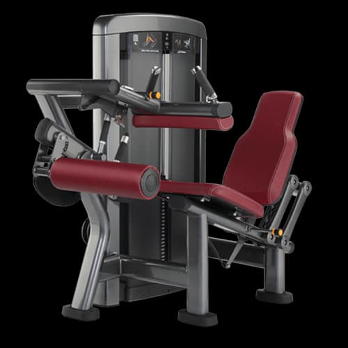 Insignia Series Seated Leg Curl (SS-SLC)