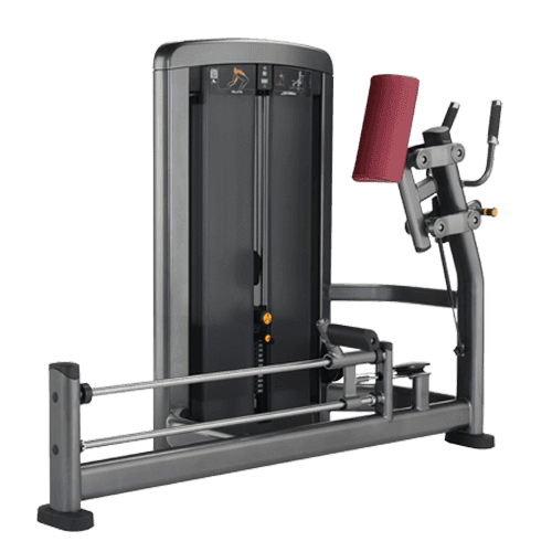 Insignia Series Glute (SS-GL)