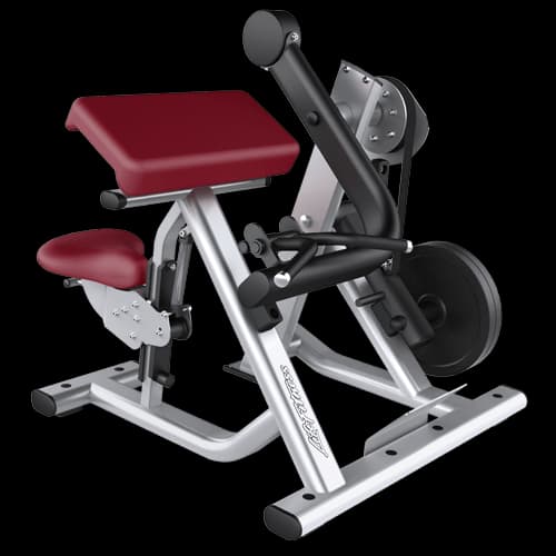 Signature Series Plate Loaded Biceps Curl (SPLBC)